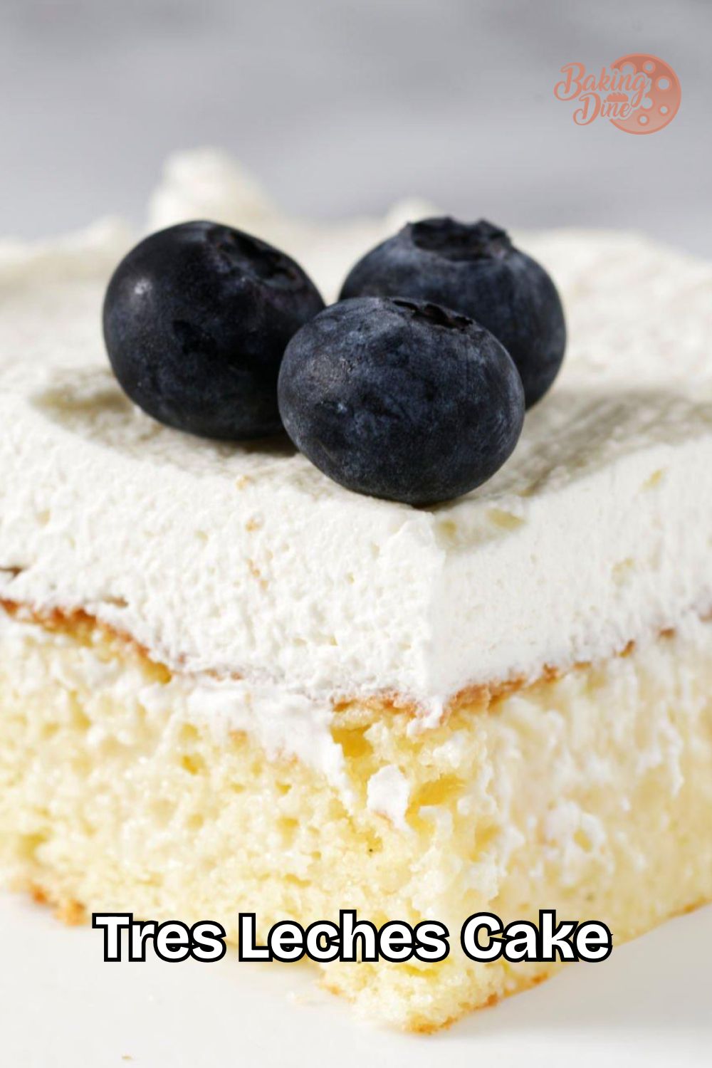 Tres Leches Cake